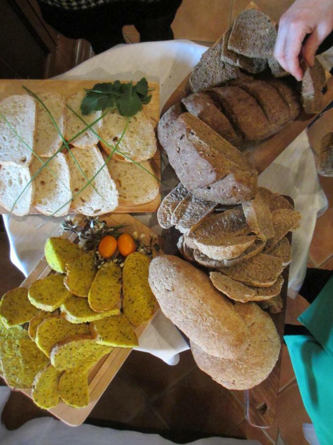 Agriturismo Il Felciaione Маса Маритима Екстериор снимка