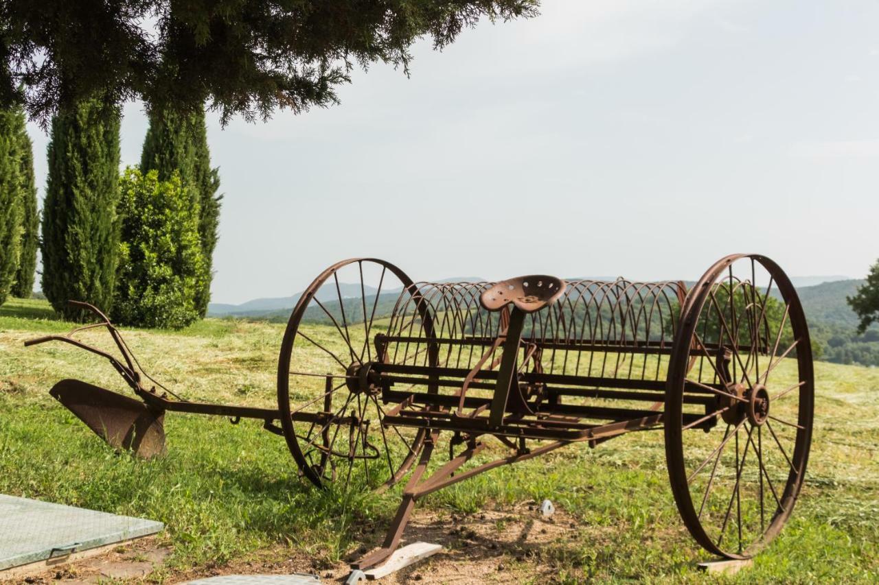 Agriturismo Il Felciaione Маса Маритима Екстериор снимка